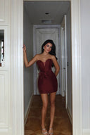 Sia Mini Burgundy Dress