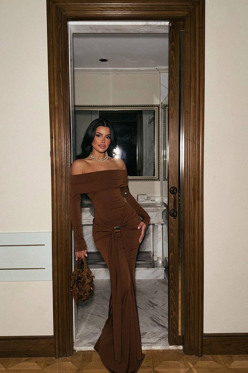 Fenia Long Sleeve Dress Brown