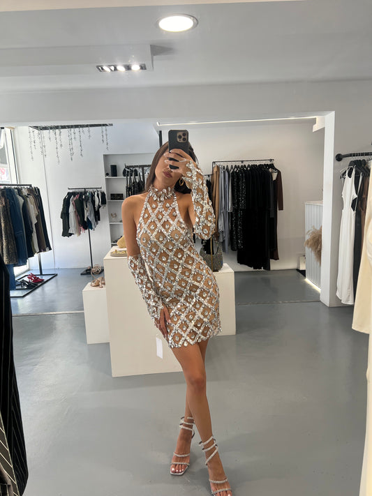 Exclusive Diana Silver Mini Dress