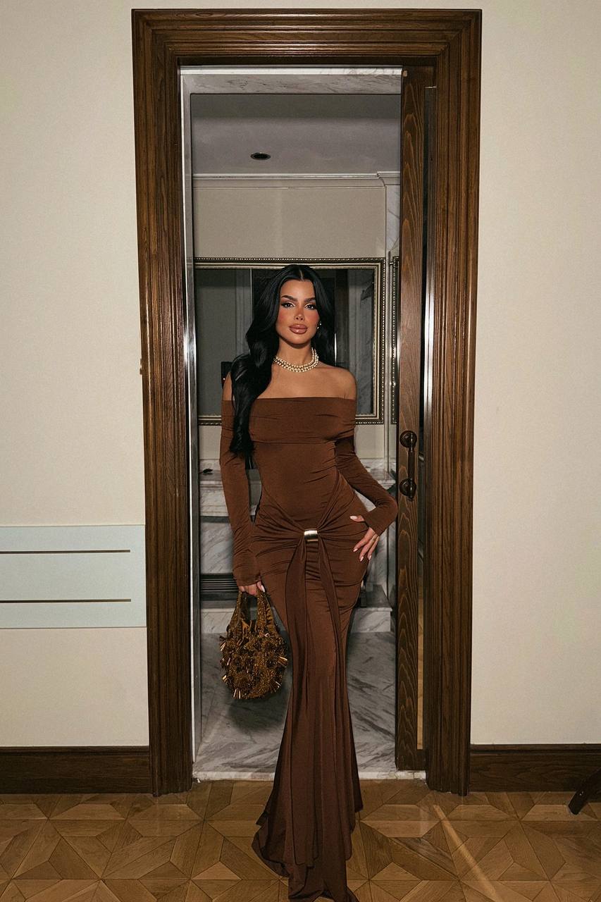 Fenia Long Sleeve Dress Brown