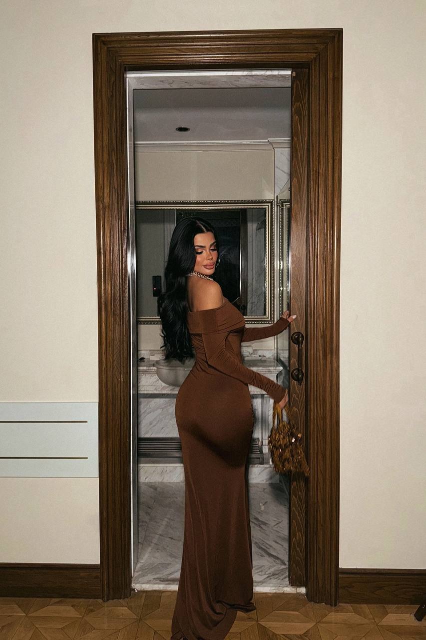 Fenia Long Sleeve Dress Brown